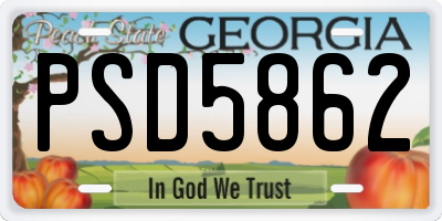 GA license plate PSD5862