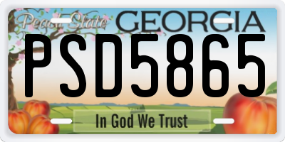 GA license plate PSD5865