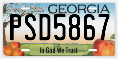 GA license plate PSD5867