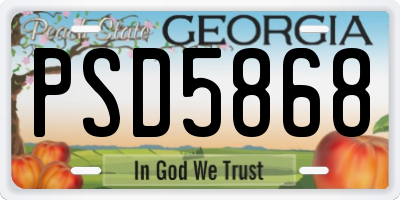 GA license plate PSD5868