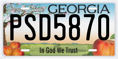 GA license plate PSD5870