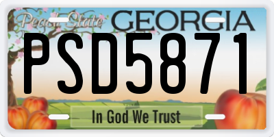 GA license plate PSD5871