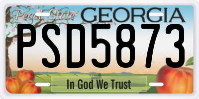 GA license plate PSD5873