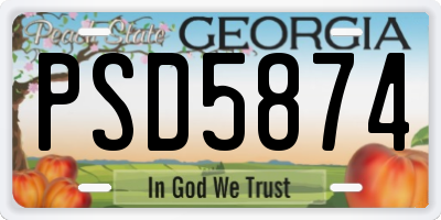 GA license plate PSD5874