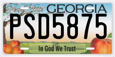 GA license plate PSD5875
