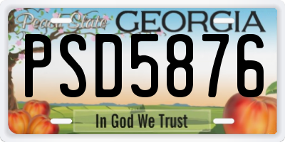 GA license plate PSD5876