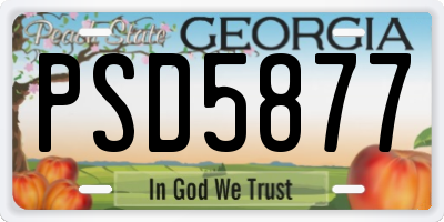 GA license plate PSD5877