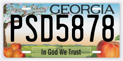 GA license plate PSD5878