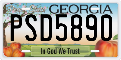 GA license plate PSD5890
