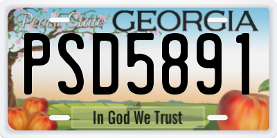 GA license plate PSD5891