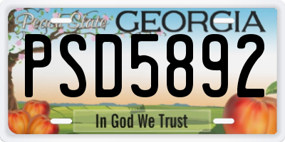 GA license plate PSD5892