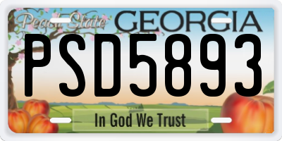 GA license plate PSD5893