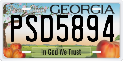 GA license plate PSD5894