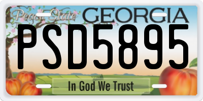 GA license plate PSD5895