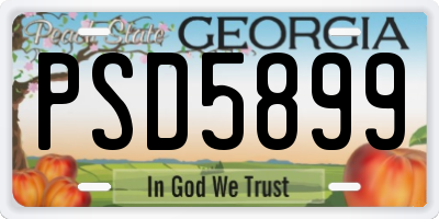 GA license plate PSD5899