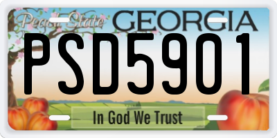 GA license plate PSD5901