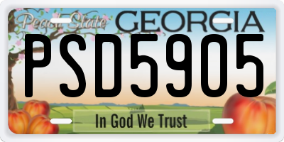 GA license plate PSD5905