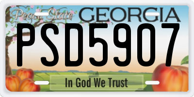 GA license plate PSD5907