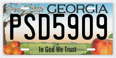 GA license plate PSD5909