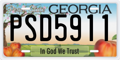 GA license plate PSD5911