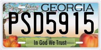 GA license plate PSD5915