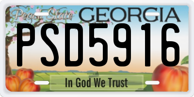 GA license plate PSD5916