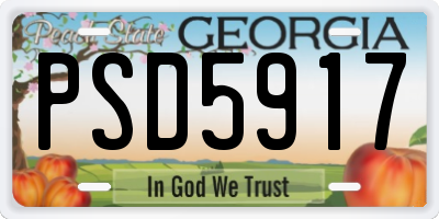 GA license plate PSD5917