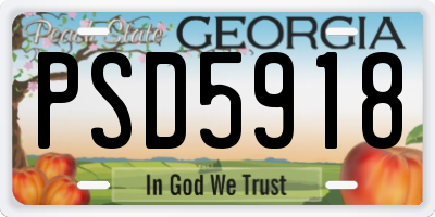 GA license plate PSD5918