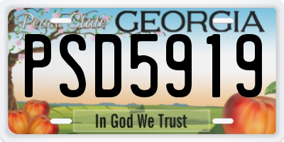 GA license plate PSD5919