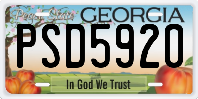 GA license plate PSD5920
