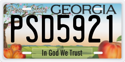 GA license plate PSD5921