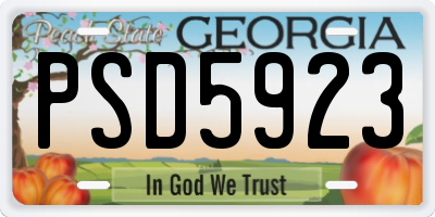 GA license plate PSD5923