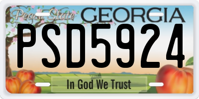 GA license plate PSD5924