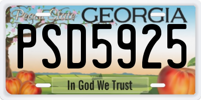 GA license plate PSD5925