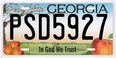 GA license plate PSD5927