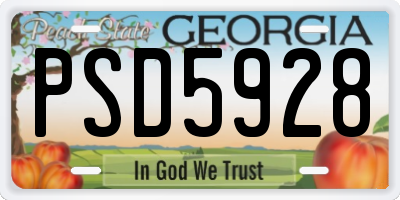 GA license plate PSD5928