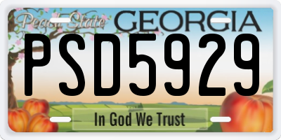 GA license plate PSD5929