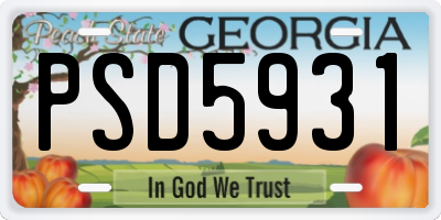 GA license plate PSD5931