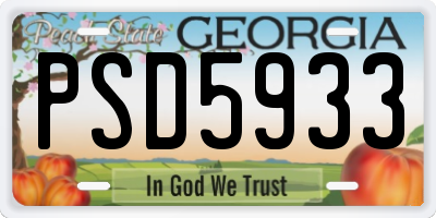 GA license plate PSD5933