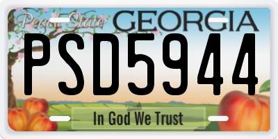 GA license plate PSD5944
