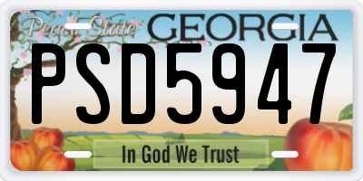 GA license plate PSD5947