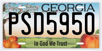 GA license plate PSD5950