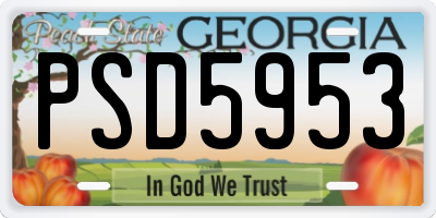 GA license plate PSD5953