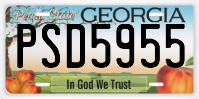 GA license plate PSD5955