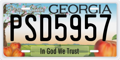 GA license plate PSD5957