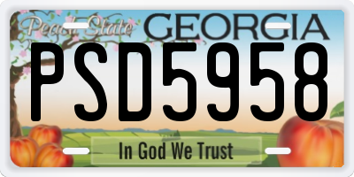 GA license plate PSD5958
