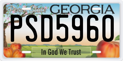 GA license plate PSD5960