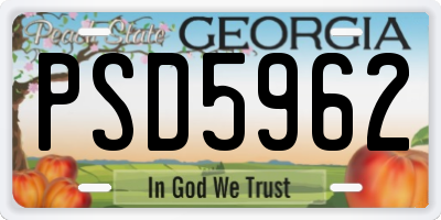 GA license plate PSD5962