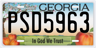 GA license plate PSD5963