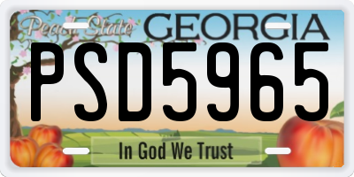 GA license plate PSD5965